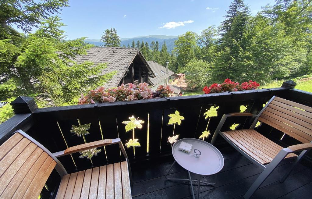 Vedere spre Bucegi de pe balconul cabanei